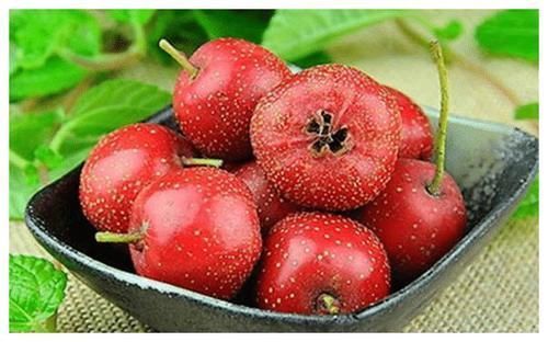 健脾|积食百病生!孩子积食的“6个信号”,父母别无视,易伤脾难发育