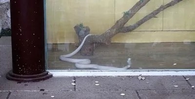 雷峰塔千年秘密,挖出了奇珍异宝!