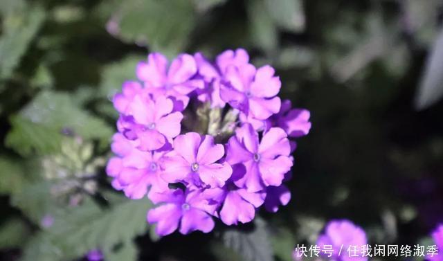 地球一小时︱探秘自然之夜,为地球发声