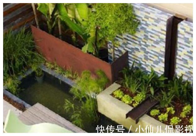 阳台|阳台进行一个小改动，秒变“休闲小花园”，有鱼有花，好看极了