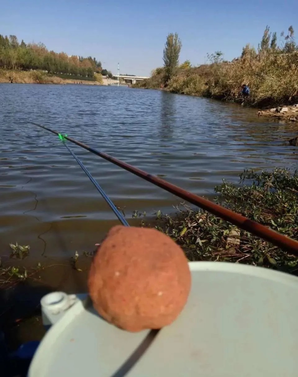 冬天冷,开出的饵料无鱼吃?牢记这五字,大板鲫随你钓