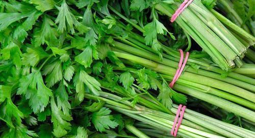 紫甘蓝|一旦得了高血压，6种食物坚持吃，血压轻松下降，血管也通顺了！