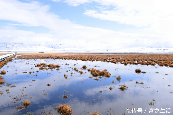 若尔盖花湖不飞花，却是中国最美的高寒湿地