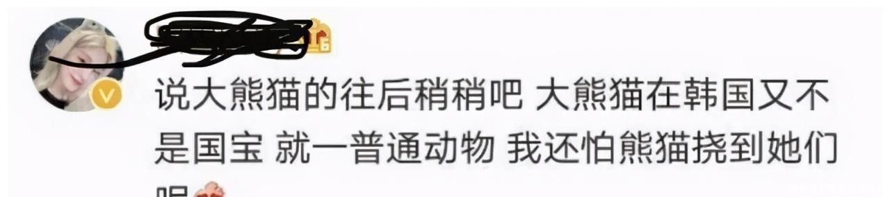 抢汉服熊猫还不够?韩网友称鞠婧祎《如意芳霏》抄韩国放河灯习俗