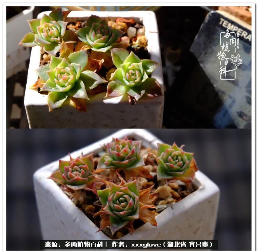 时光匆匆,一闪而逝,这世间万物的美,都值得被记录!