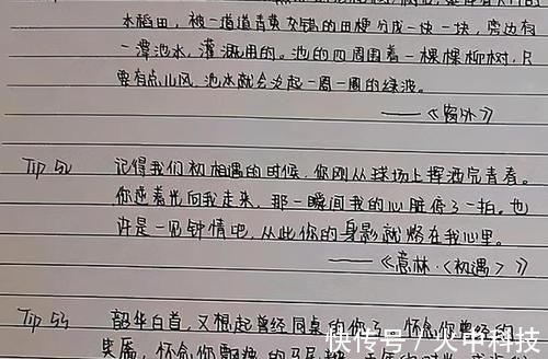 奶酪体@“网红字体”哪家强？柚圆体、奶酪体、鲸落体，都被这种字体打败