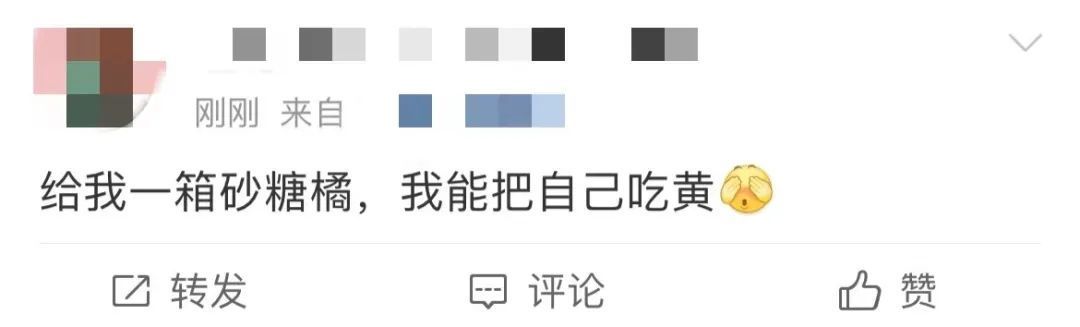 计量单位|砂糖橘冲上热搜!网友:?太上头了