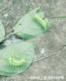 |搞笑GIF趣图这是什么操作啊,难道为了省过路费?