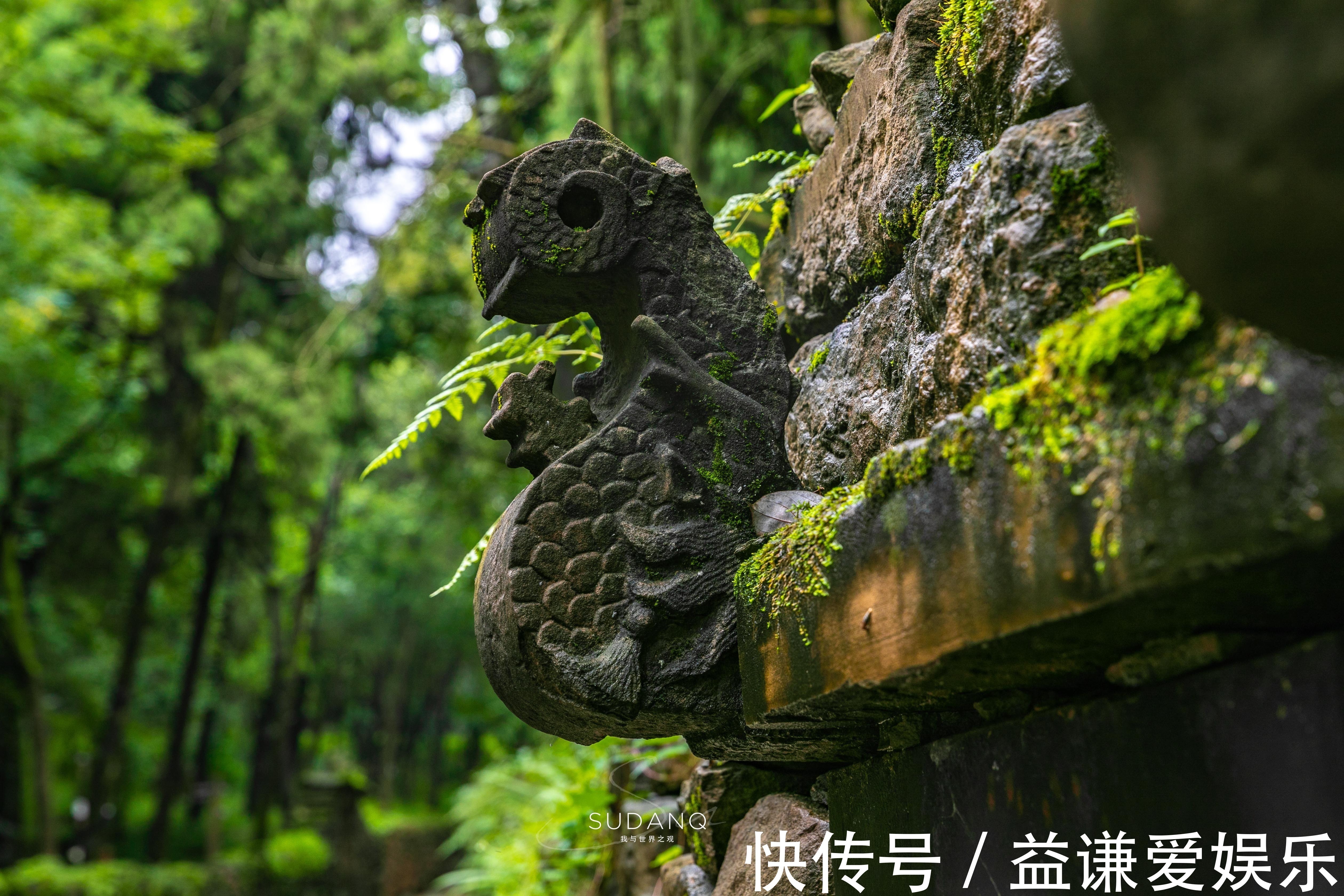 庞统祠#蜀道究竟有多难人类最早的大型交通遗存之一,已有3000年历史