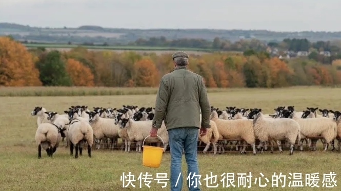 克拉克森的农场|如果受不了《向往的生活》那虚假的田园牧歌,就去看这个纪录片