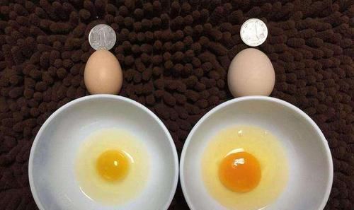 营养师|买鸡蛋时,买红壳好还是白壳好当营养师讲完后,许多人都后悔了