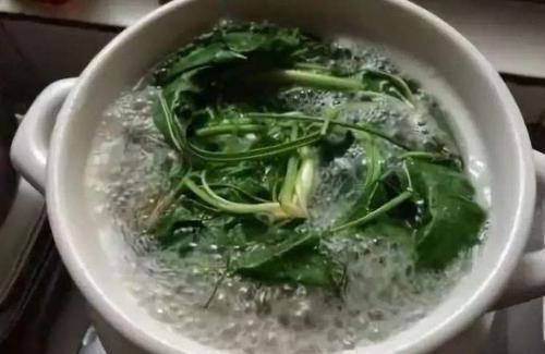 這種野菜洗頭洗腳很厲害,祛濕殺菌滅腳氣,不妨嘗試一下!