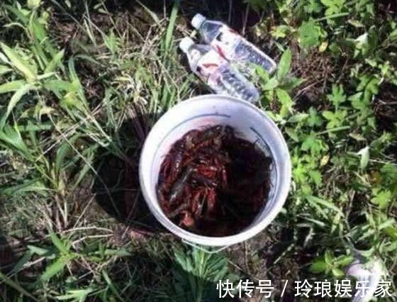 养花|还买肥料干什么,这种“废物”利用起来,无需花钱,养花效果更好