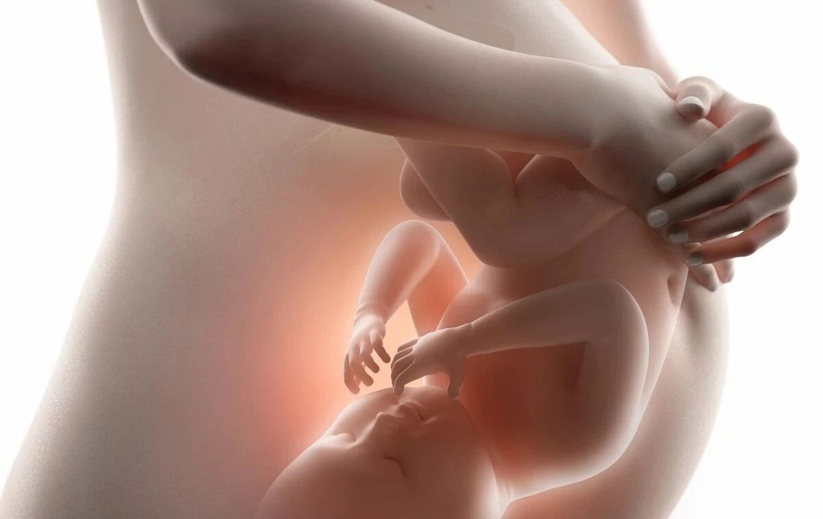 胎儿|临产入盆时，为什么胎宝宝会将头乖乖朝下背后原因挺有趣！
