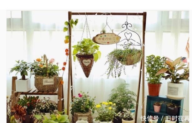 花架|如何打造漂亮阳台新颖“花架”,打造您的私人花园!