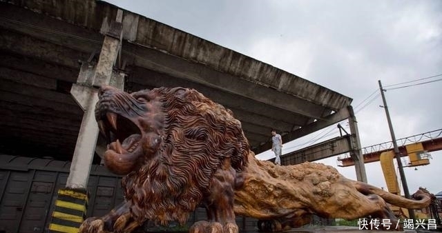 楠木|男子用30吨金丝楠木雕刻雄狮,富豪出价300万,男子:先给1000万