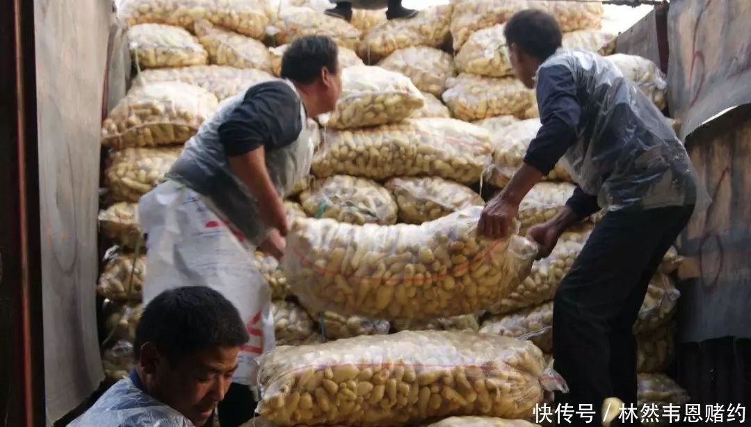 祛湿效果是薏米的一百倍，每天喝一杯，横扫体内十年毒