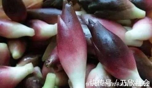 野菜|山上看到这“山珍”，不要错过了，它在市面上可是能卖到15一斤