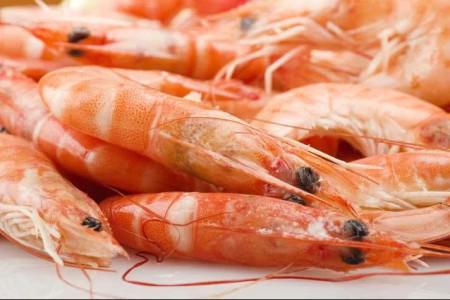 无奈|吃虾到底要不要去虾线老渔民无奈说出真相,网友后悔没早知道