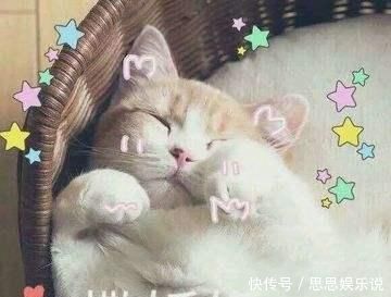 元气满满|那些年被吹爆了的平价好物,其实很鸡肋!快看看有没有你入手过的