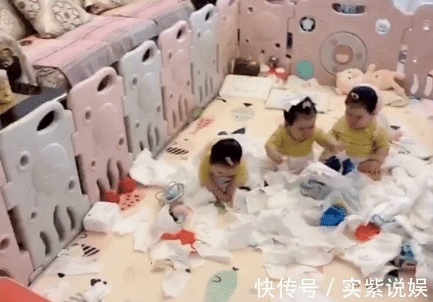 宝妈|“拆家女团”三胞胎宝宝走红,中间那个一脸无辜,却数她撕得最欢