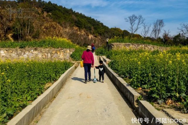 这个废弃的矿坑，周围种满油菜花，摇身一变成为杭州踏青的好去处