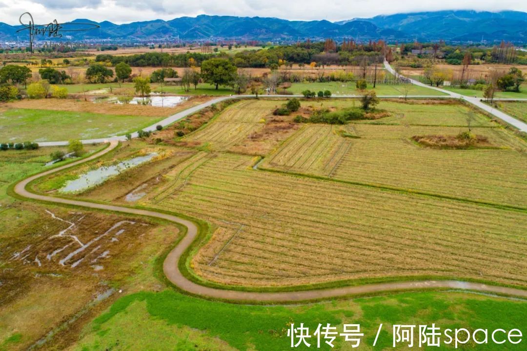 良渚|良渚遗址公园里自然的“油画”，总会让我想到那个疯子艺术家梵高