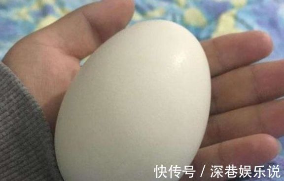 鹅蛋|孕妇吃鹅蛋,对胎儿发育有帮助,那你知道该什么时候吃吗?