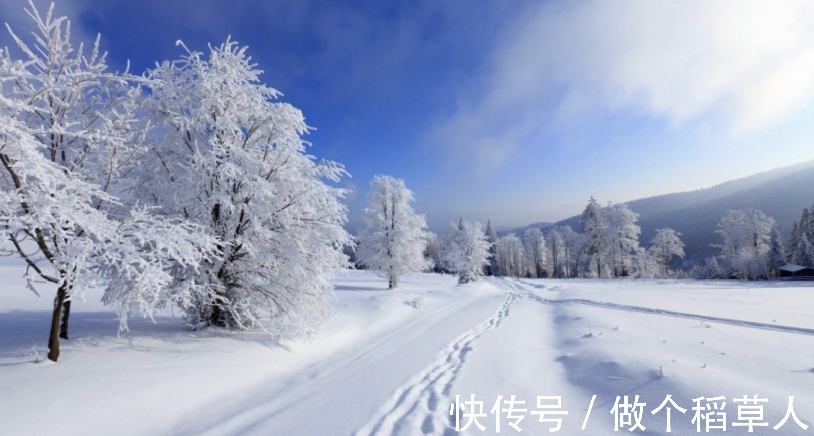 星座|天赋异禀的星座，对生活抱有合理的怀疑，努力变得越来越独立