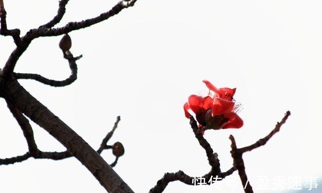 富贵在天|富贵在天, 生死由命(拼了)