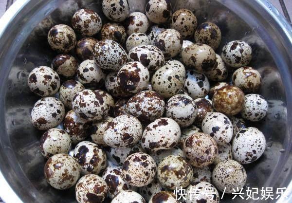 君子兰|去散步捡点它，往君子兰盆里一放，10年不烂根花开不断年年爆盆