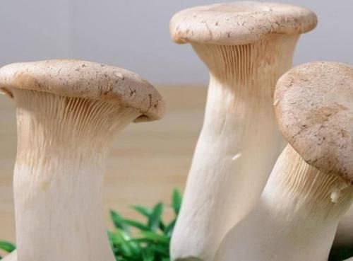 杏鲍菇|想长寿要多吃三种食物,排毒养颜、滋润身体,越吃越年轻!