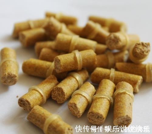 小药|玉米粉一天100斤鱼获，使用针筒上饵方便又卫生