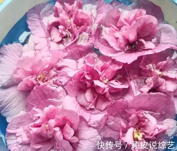 农村的4种花，味道比“鸡肉”香，煎炒煮汤，是一道美味！