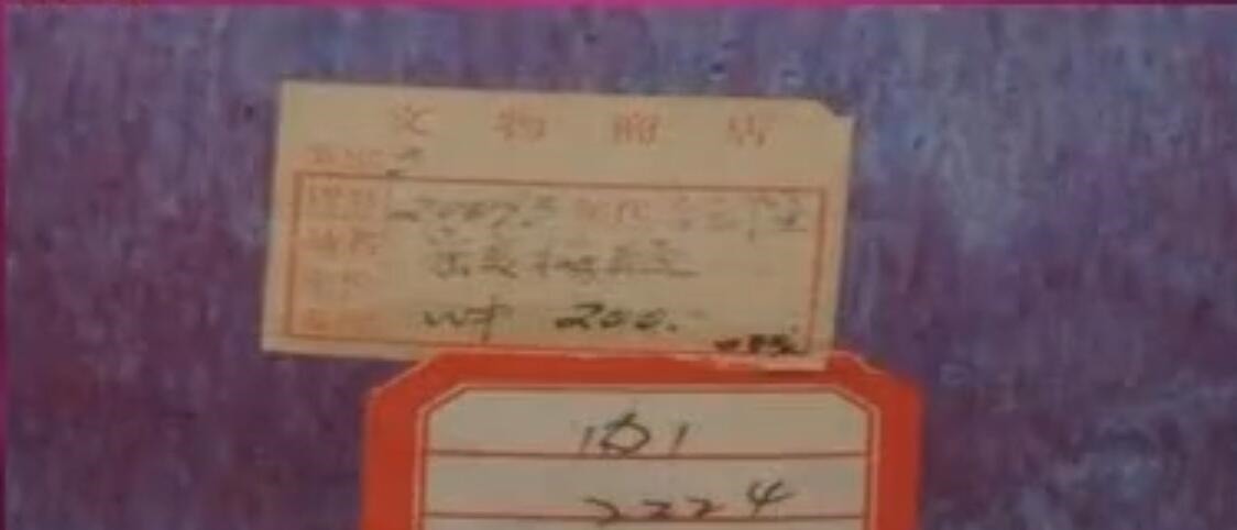 烧制$儿子最爱瓷瓶标价200, 大妈觉得20都不值, 专家估价后大妈差点晕倒!