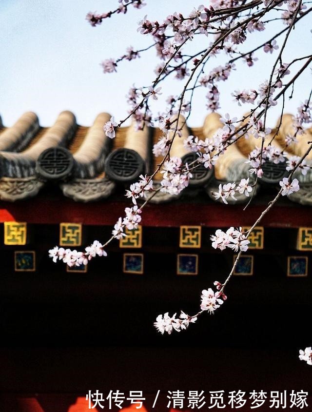 世间|李煜最伤感的一首词,别恨依依,写尽世间最深的眷恋