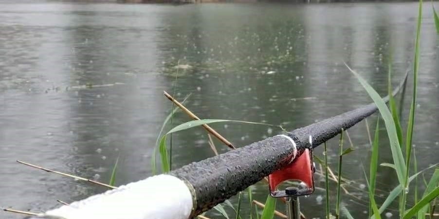 早就听说这鲤鱼钓法百试不爽，用过才后悔知道晚了！