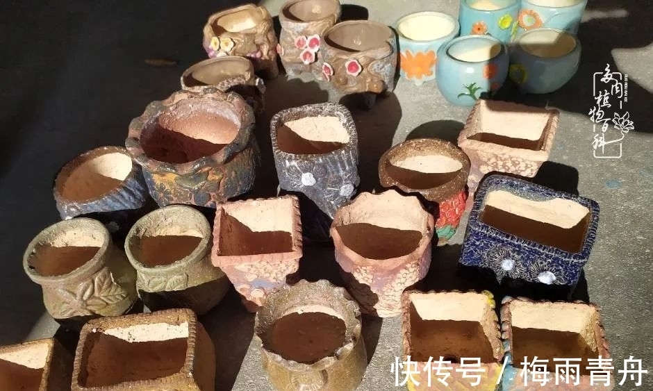 爱上多肉:何须浅碧轻红,自是花中一流!