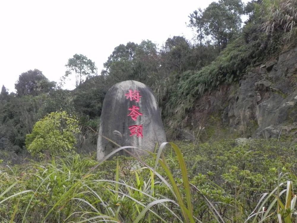 苍南这条古道不仅景美，还藏着许多的故事！