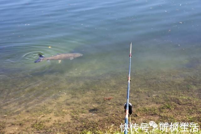钓鱼老是空军,掌握这几个细节,新手也能爆护