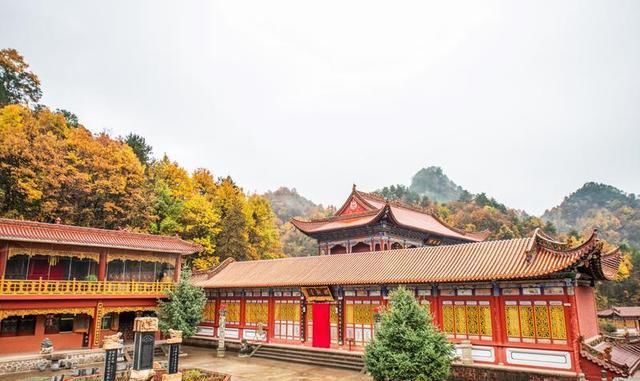 净土寺|西北最值得去的寺庙之一，藏在深山老林处，风景美得不食人间烟火