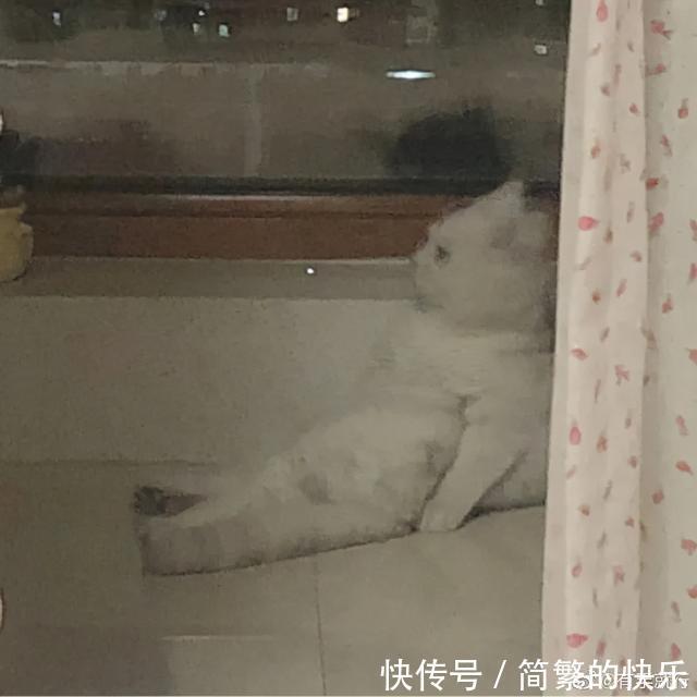 |有被冒犯到 冷段子1770