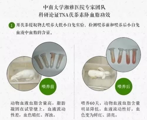 微循环|糖尿病有救了!疏通微循环恢复自愈力,有望逆转并发症