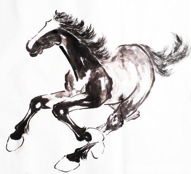 力高|哪几个生肖前几年瞎忙没前途,最近领悟力高,找到出路笑到最后