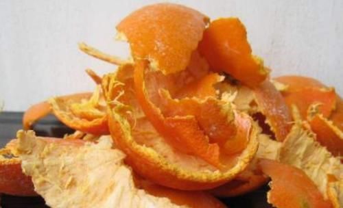 橘子皮养花,效果不比花肥差,实用简单效果好,啥花都喜欢!