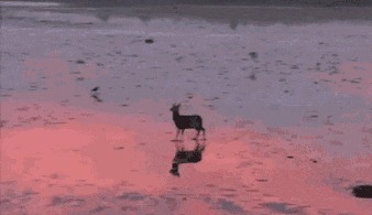 |搞笑段子:在外面吃面,对面有一萝莉跟她爹,同吃一碗。