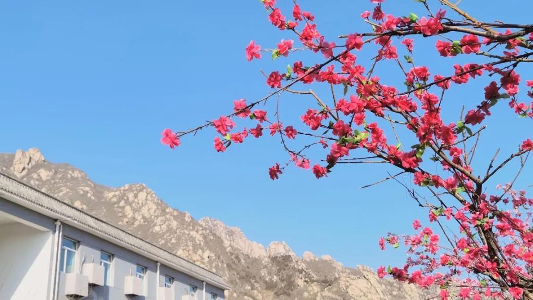 中年|北京海淀凤凰岭丨春节免费游园，助力“留京过年”！