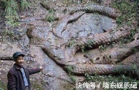 金银|一句童谣引出的宝藏,盗墓贼光顾了百年,专家探测发现真是宝藏!