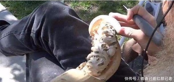 大爷|大爷公园雕刻逼真蛇手杖,路人看到后脸色大变