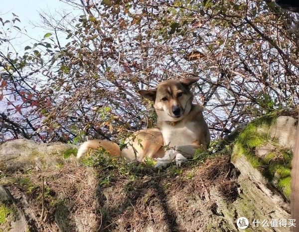 触动，在路上 篇九十七：坐上高铁游湖北，第七站：武当山